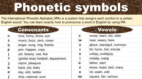 q ʌ n l e x|Phonetic alphabet from Practical English Usage .